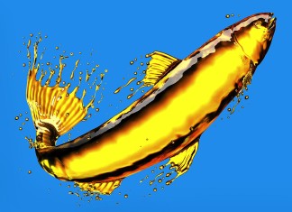 Fish oil - Clapway