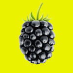 Blackberry – clapway