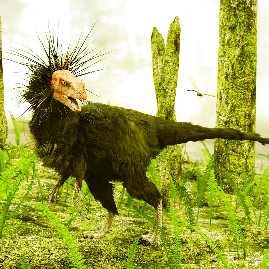 Dinosaur Ornitholestes - clapway