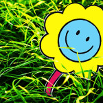 Coloring book flower in a green grass – clapway