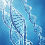 Genetic engineerring – clapway