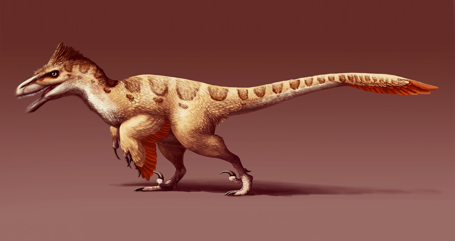 Dakotaraptor - Clapway