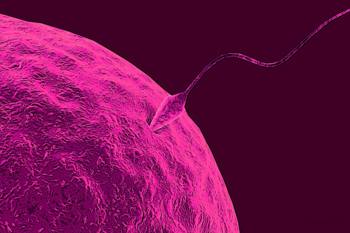 5 Scientific Facts you Didn’t Know About Sperm Clapway