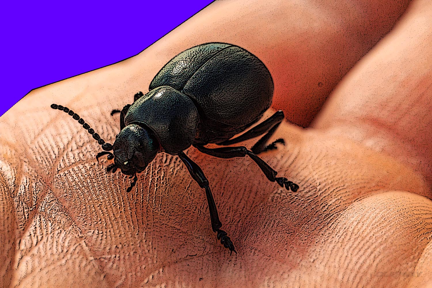 3 Shocking Facts About Bedbugs and NYC Hotels Clapway