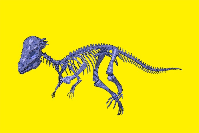 Skeleton of Alien Dinosaur was Found on Earth Clapway