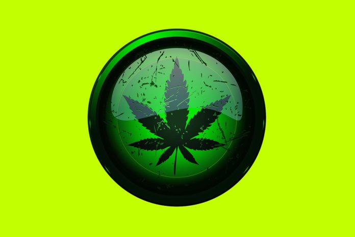 Marijuana Laws On Election Day Medical Marijuana is as healthy as Medical LSD and Heroin Porn and Medical Marijuana Make You Kill; Scientists Confirm ClapwayGovernment Wants You to Smoke Marijuana