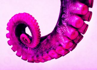 Japan Awards Tentacle Porn; Pornhub and Redtube Fans Are Happy Clapway