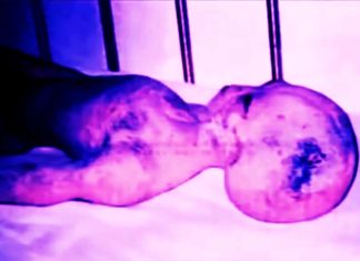 Camera Captured Aliens From Head to Toe; NASA is Silent Clapway