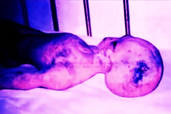 Camera Captured Aliens From Head to Toe; NASA is Silent Clapway