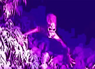 Alive Alien Captured in the Cave; Footage Released Clapway