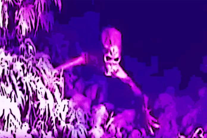 Alive Alien Captured in the Cave; Footage Released Clapway