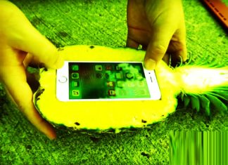 YouTube Shows How to Make iPhone Pineapple Salad