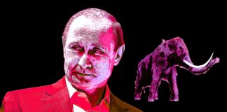 Putin and Russian Scientists Bringing Woolly Mammoth Back to Life Clapway