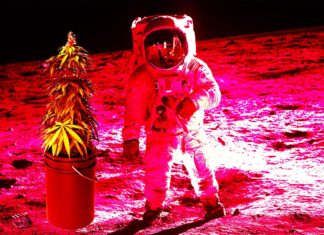 NASA Astronauts Growing Medical Marijuana on Mars NASA Astronauts will Grow Medical Marijuana on Mars Clapway