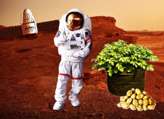 SpaceX to Grow Super Potatoes on Mars: 5 Things You Didn’t Know