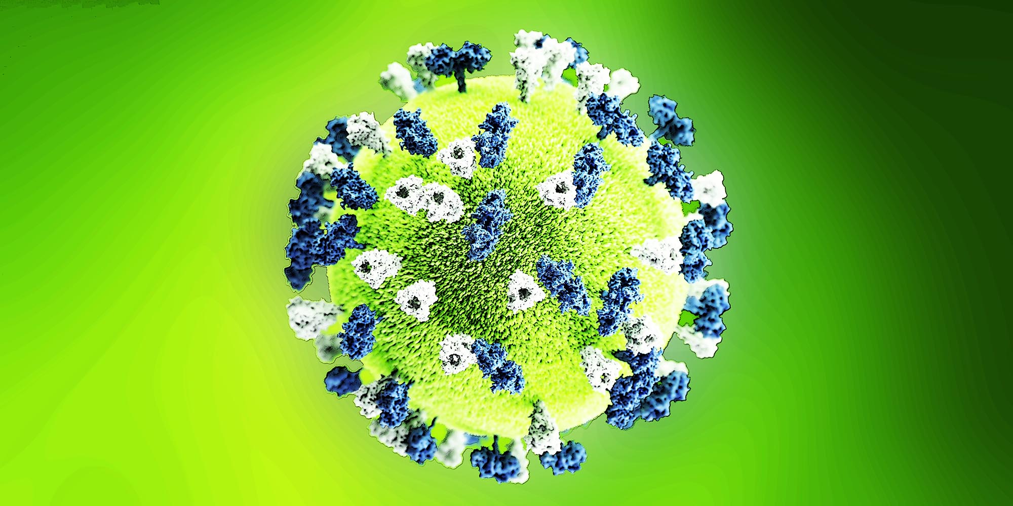 Top 3 Coronavirus Facts You Didn't Know